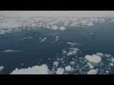 فیلمی کوتاه از شکار سنتی نهنگ در شمال آلاسکا نزدیک قطب شمال 