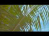 G.C.F in Saipan جی سی اف جانگ کوک و بی تی اس در اسپانیـا با کیفیت 1080p از JK