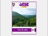 پیاپیش سال نو مبارک
