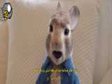 فیلم پیتر خرگوشه 2 فراری Peter Rabbit 2: The Runaway