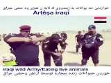 خوردنِ سگ و گربه زنده توسط ارتش عراق/قسمتی از اموزششونه.