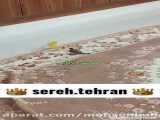 سهره محسن بابایی sereh_tehrann