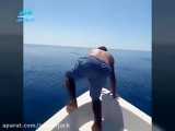 نهنگ‌سواری خطرناک در دریای عمان