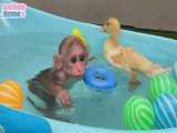 بازی‌ اردک و میمون شیطون در وان حمام