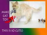 ساخت اسباب بازی برای گربه