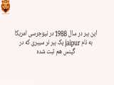 رکورد گینسی ببر سیبری ۴۲۵ کیلوگرمی در اسارت (ببری به نام jaipur )