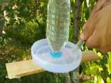 ساخت جای آب برای پرندگان کاربردی و آسان 