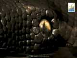 مستند حیوانات وحشی - بزرگترین مار جهان ، اژدهای کنگو