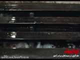 ویدیويی از «دینامیت» با صدای محمدرضا علیمردانی