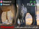 تریلر فیلم Elephant 2020