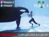 تریلر فیلم Blackfish 2013