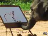 نقاشی کشیدن فیلی که یه فیل نقاشی میکنه