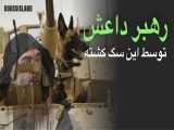  18 | رهبر داعش توسط این سگ کشته شد!!
