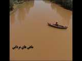 مستند ماهی های مردابی / نویسنده و کارگردان ابوذر کبیری / مجری طرح مراد نظری