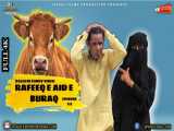 رفیق (قربانی عید)Rafeeq e Aid e Buraq | Balochi Funny Video |
