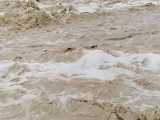 جاری شدن سیلاب استان بوشهر شهرستان تنگستان