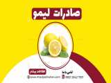 صادرات لیمو