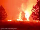 بزرگترین حریق جنگلی آمریکا ۱۲۰ هزار هکتار را سوزاند