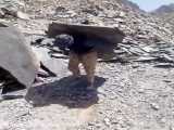 فروش سنگ لاشه سنگ مالون سنگ کوهی سنگ ورقه ای 09126718261 بدونی واسطه از معدن