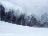 تایم لپس باد زمستانی در هوای برفی | صدای طبیعت / (قسمت سوم)