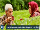 تاریخچه چای در ایران