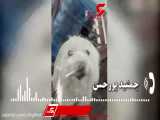 نجات سگ تشنه توسط آقای بازیگر در تبریز / در آستانه مرگ بود