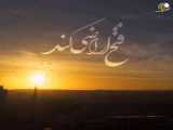 آهنگ زیبای محسن چاوشی امیر بی گزند در رسای حضرت علی