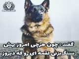 حرف های یک سگ