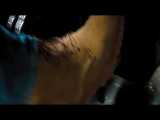 فیلم سریع و خشن آخرین جدیدترین قسمت فیلم اکشن حادثه ای F9 Official Trailer HD