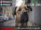 تریلر فیلم Stray 2020