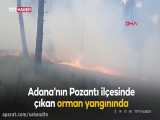 بازداشت یک مظنون در رابطه با آتش سوزی شدید جنگلهای ترکیه