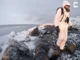 مقابله عکاس حیات وحش شجاع با خرس قطبی 