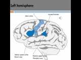 آموزش مبانی زبانشناسیNeurolinguistics  / The language and the brain 