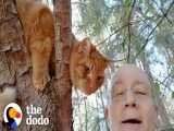 این مرد بیش از ۷۰۰ گربه را از بالای درخت نجات داد | دودو (قسمت 337)