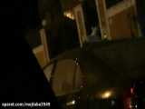 ویدیو ۲ گربه ای روی ماشین امشب کنگان