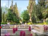 ترانه شاد   دیوانگی   با صدای آقای مصطفی راغب - شیراز