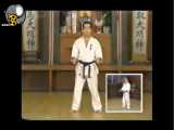 کاتای یازدهم کیوکوشین کاراته رزمی