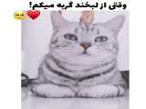 گربه^^