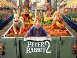 فیلم پیتر خرگوشه ۲: فراری با دوبله فارسی Peter Rabbit 2: The Runaway 2021