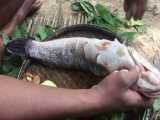 صید ماهی با تله و سرخ کردن آن کنار رودخانه | آشپزی بدوی (قسمت 53)