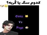 سگ یا گربه؟: