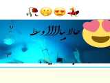رقص با آهنگ فارسی