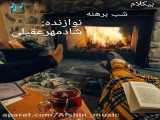 سوت و نوازندگی استادشادمهرعقیلی در شب برهنه_بیکلام