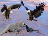 مستند حیات وحش - اژدها گوزن را می‌کشد اما عقاب... راز بقا