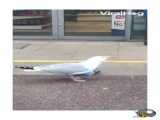 دزدین چیپس توسط پرنده : طنز
