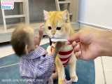 BiBi takes care of Ody cat so sweet
