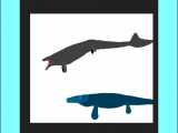 Tylosaurus VS Mosasaurus