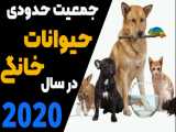 جمعیت حدودی حیوانات خانگی در سال 2020 | ۵ دسته پرجمعیت حیوانات خانگی | ملوس پت