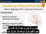 خواب، نوروبیولوژی، پزشکی و جامعه 