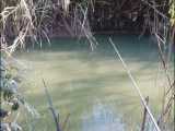 کلیپی از ماهیگیری با قلاب ما در رودخانه ساری... شهریور 1400